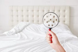 5 фактов о постельных клопах