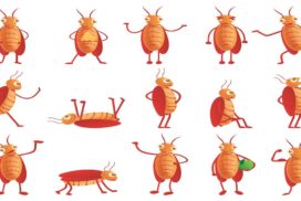 5 интересных фактов о тараканах